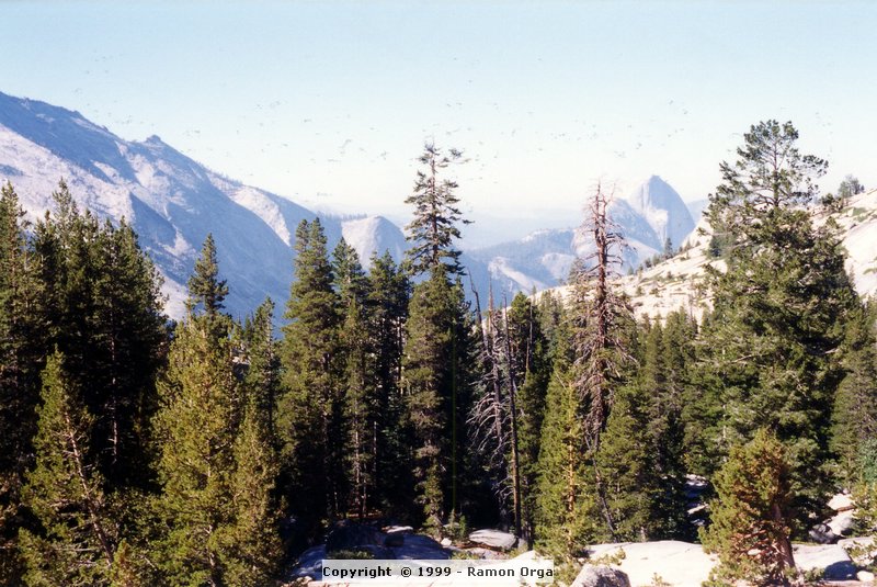157.jpg