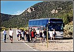 145.jpg