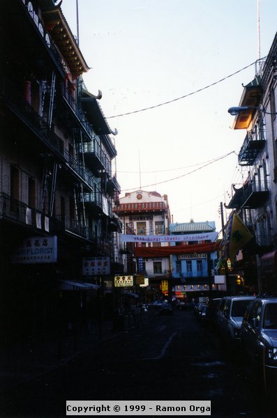 171.jpg
