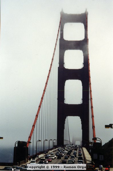 192.jpg