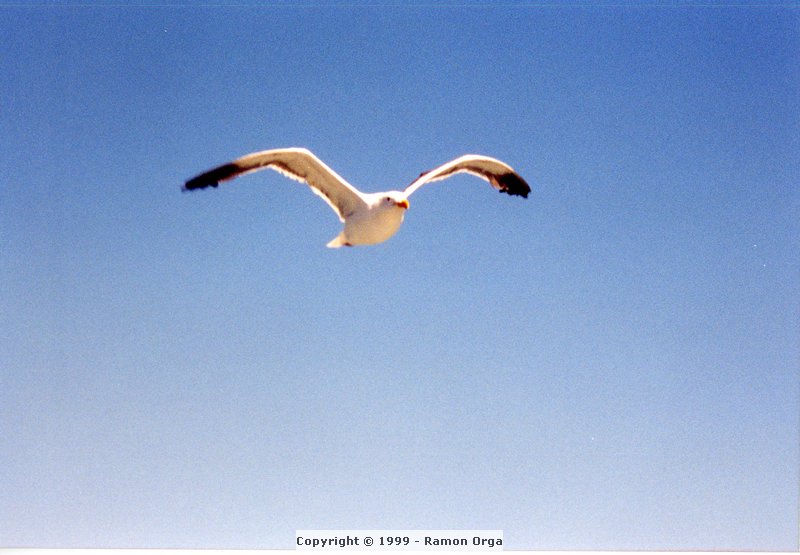 196.jpg