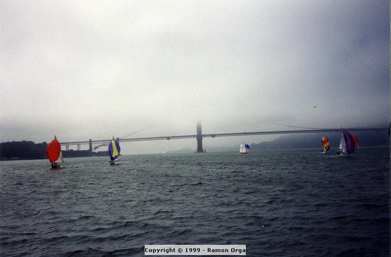 201.jpg