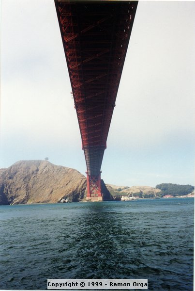 203.jpg