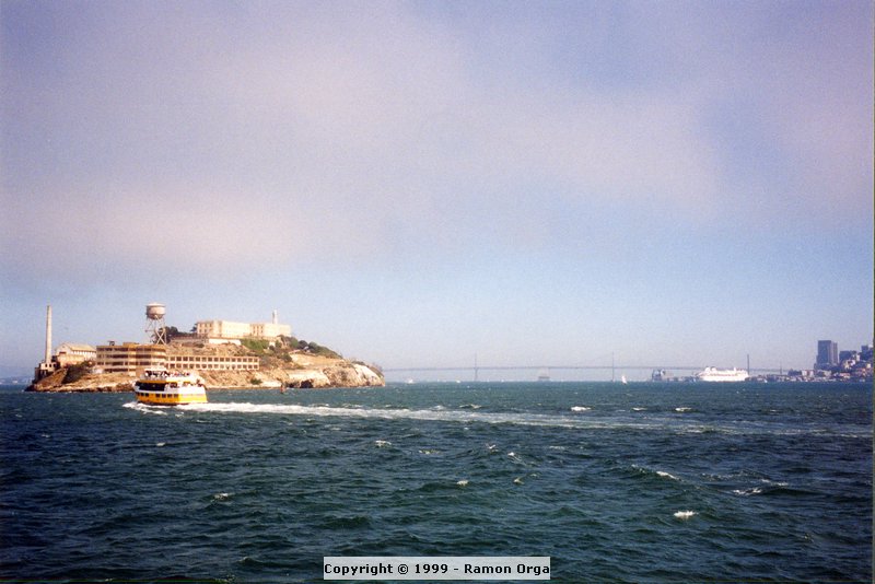 206.jpg