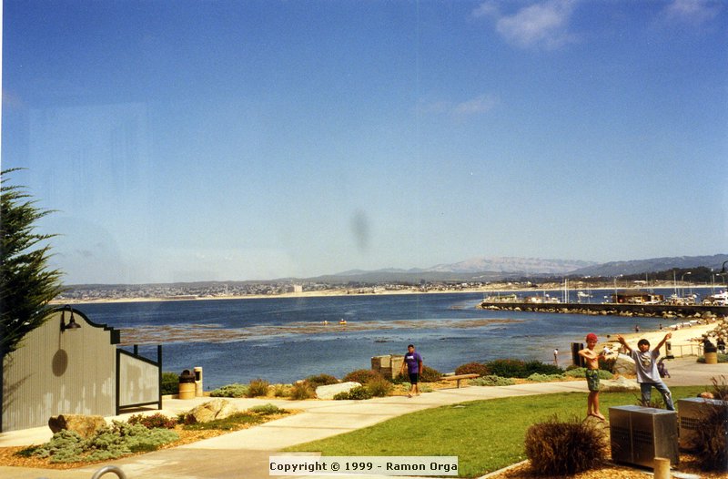 217.jpg