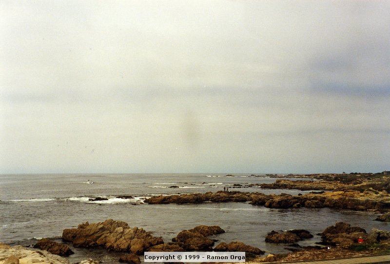 225.jpg