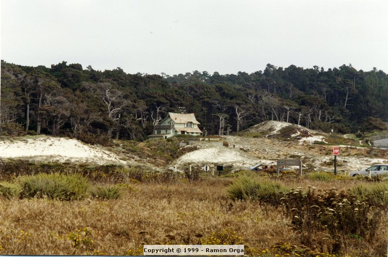 226.jpg