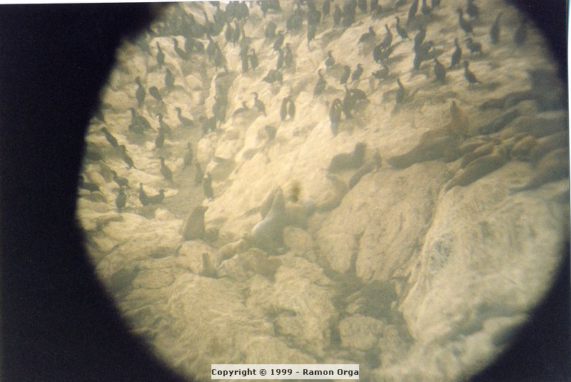 230.jpg