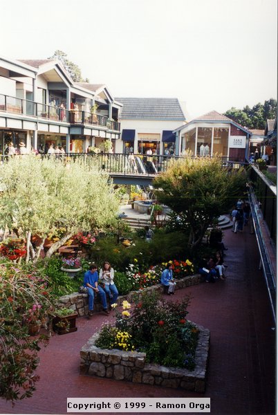 237.jpg