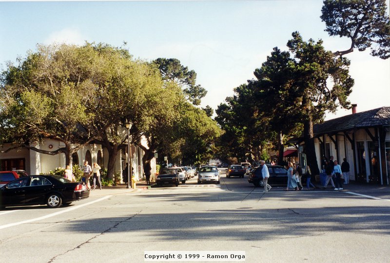 241.jpg