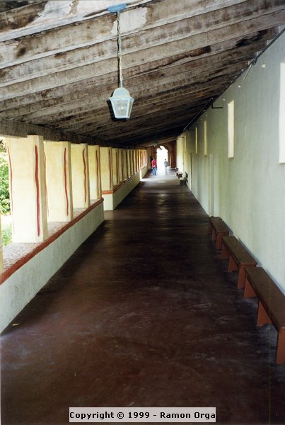 247.jpg