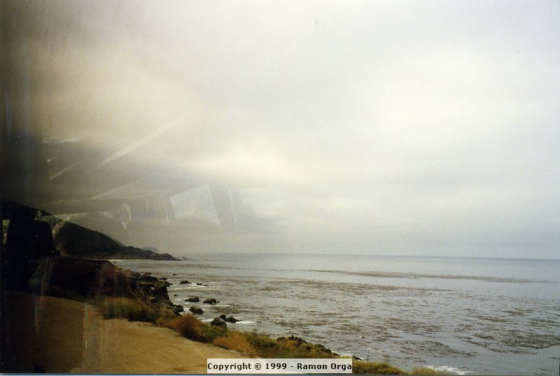 255.jpg