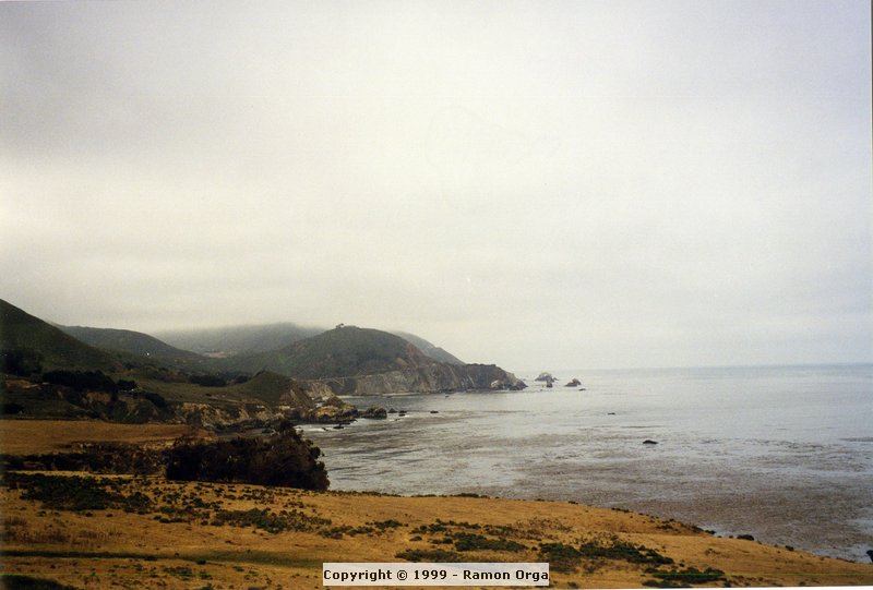 256.jpg