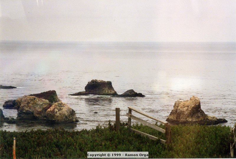 257.jpg