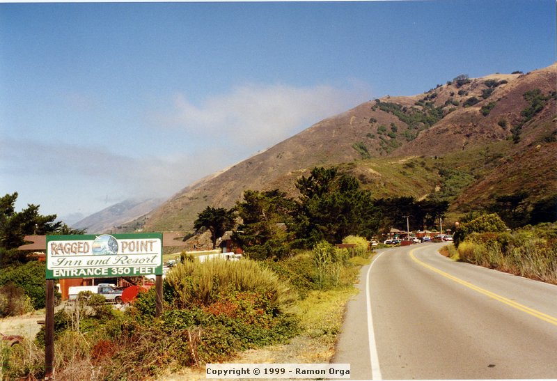 274.jpg