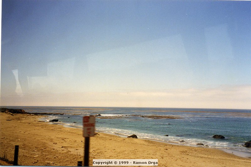 276.jpg