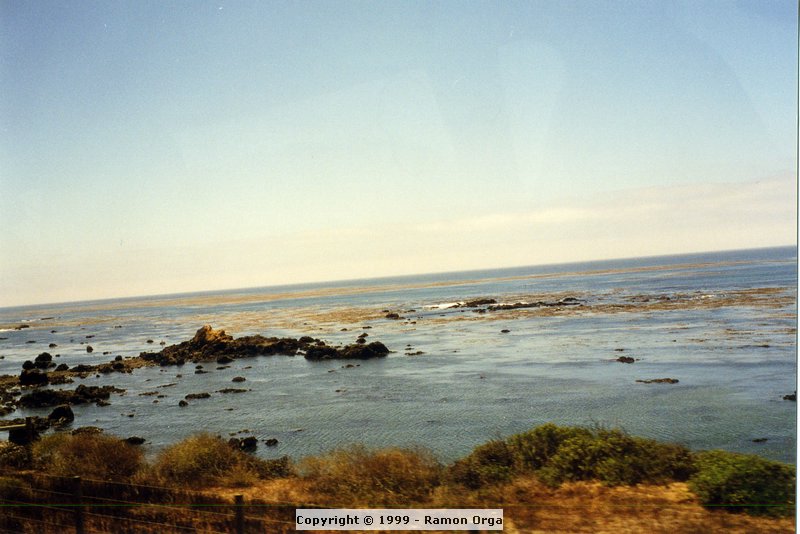 277.jpg