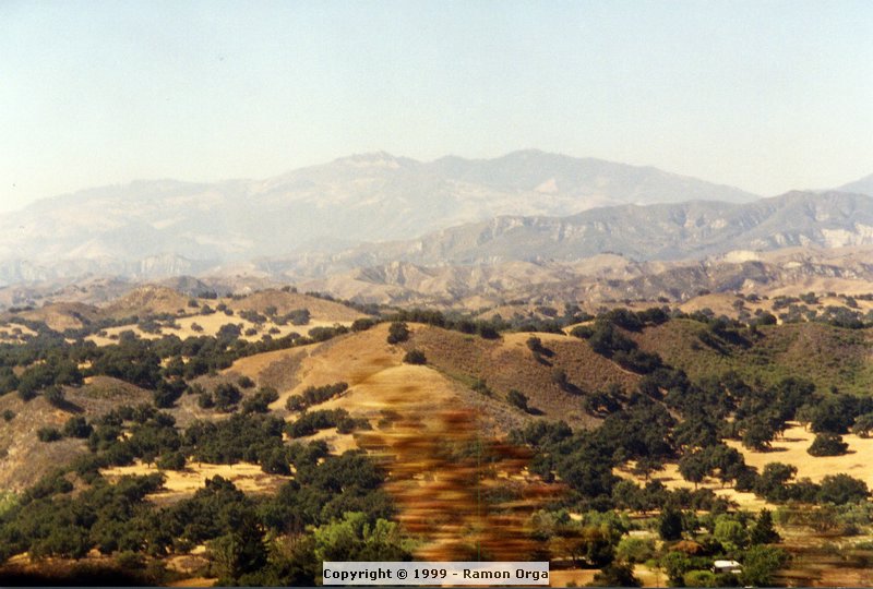 285.jpg