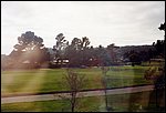 236.jpg