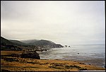 256.jpg
