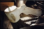 267.jpg