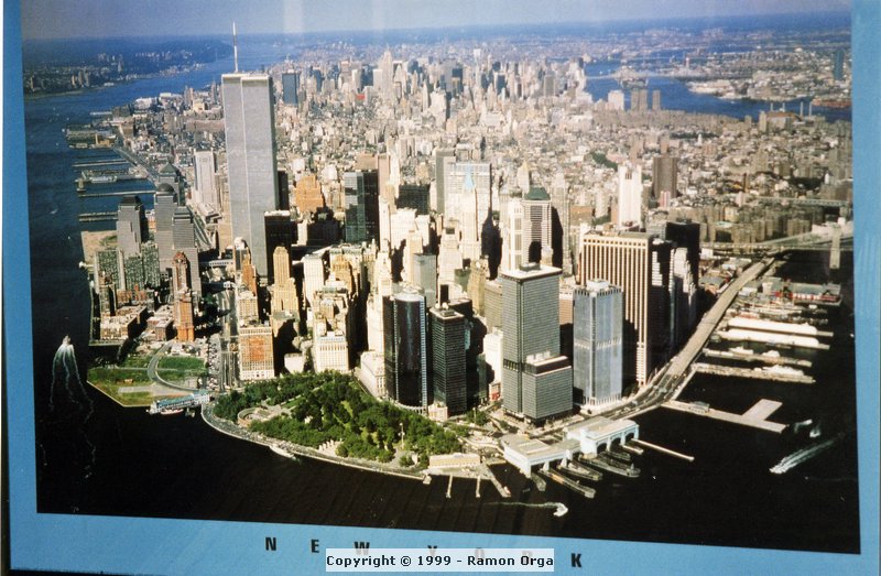 313.jpg