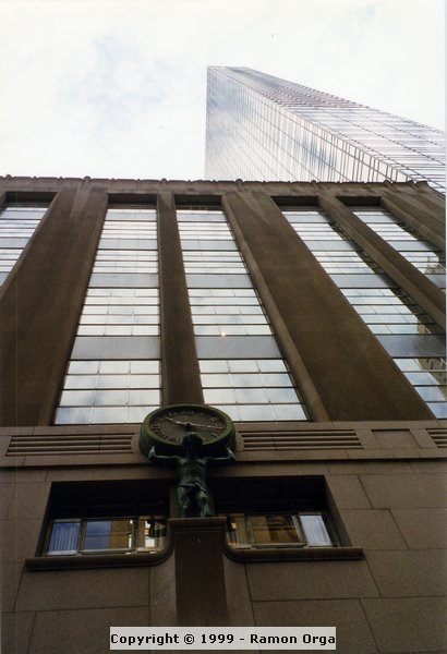 336.jpg