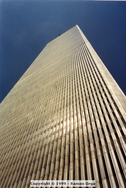 343.jpg