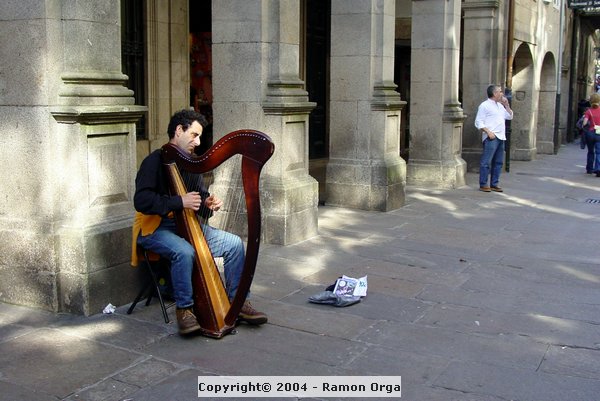 DSC03348.jpg