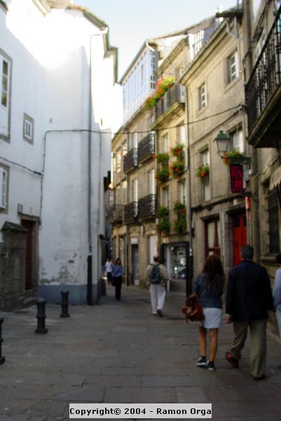 DSC03358.jpg