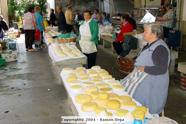 DSC03377.jpg