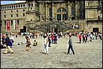 DSC03342.jpg