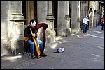 DSC03348.jpg