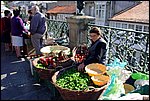 DSC03364.jpg