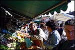 DSC03370.jpg