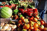DSC03372.jpg