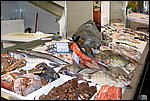 DSC03374.jpg