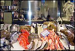 DSC03376.jpg