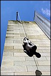 DSC03386.jpg