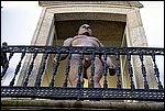 DSC03391.jpg