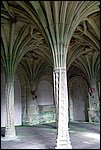 DSC03405.jpg
