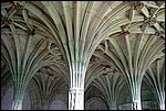 DSC03406.jpg