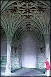 DSC03407.jpg