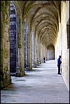 DSC03410.jpg
