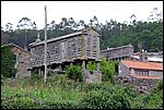 DSC03425.jpg