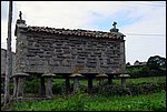 DSC03426.jpg