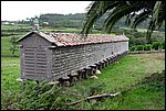 DSC03429.jpg