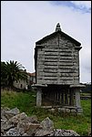 DSC03431.jpg