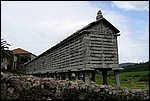 DSC03432.jpg