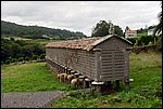 DSC03436.jpg
